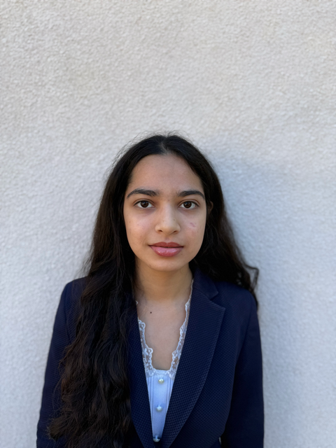 Director of Academic Affairs